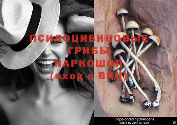 мескалин Лагань