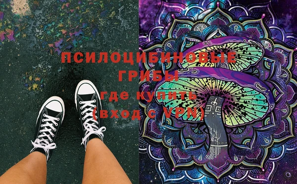 шишки Ладушкин