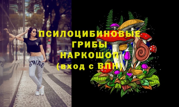 шишки Ладушкин