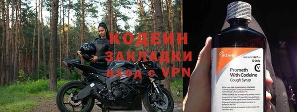 шишки Ладушкин
